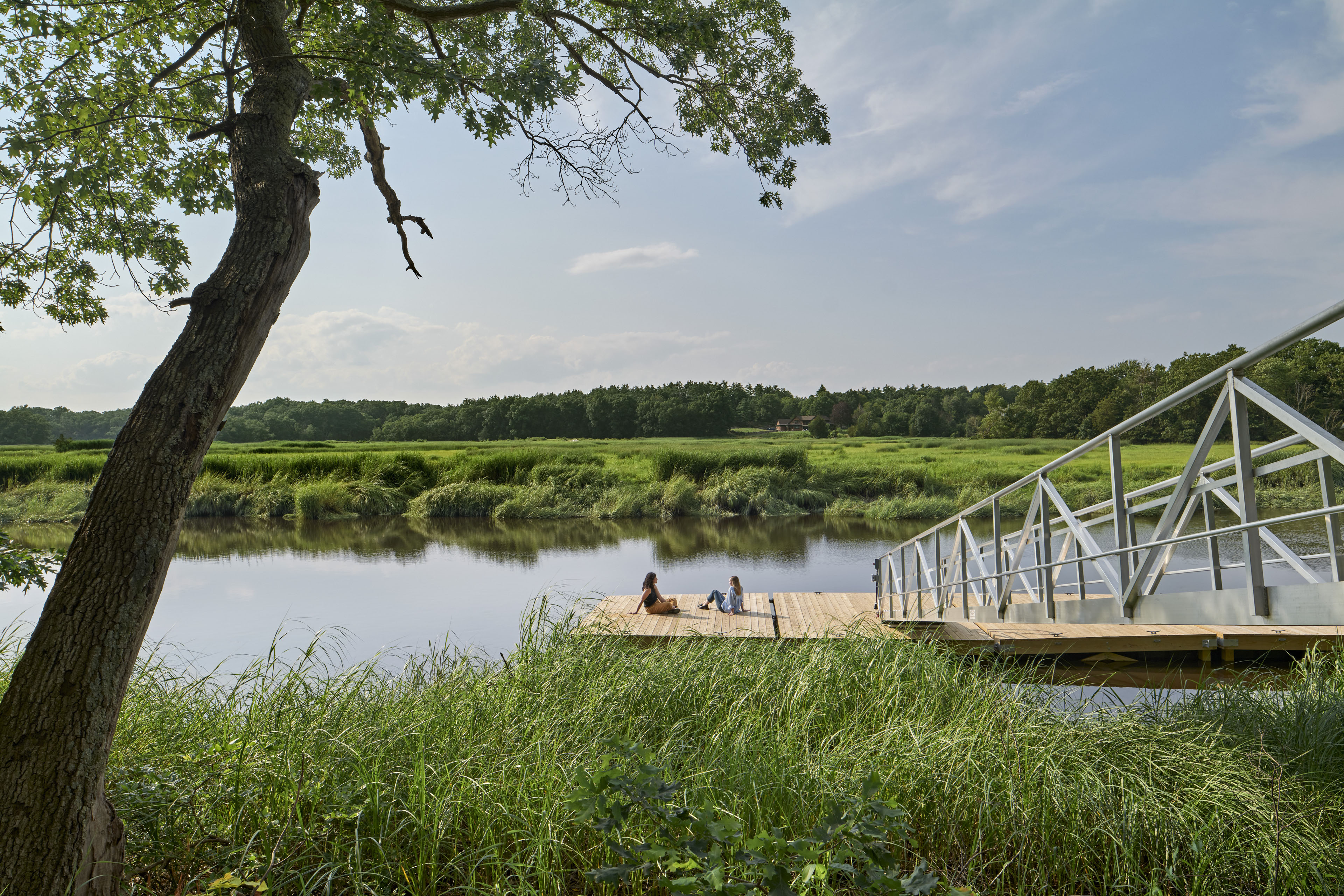 walkway connecting to dock on pond with people sitting. Tree in left corner and greenery surrounds