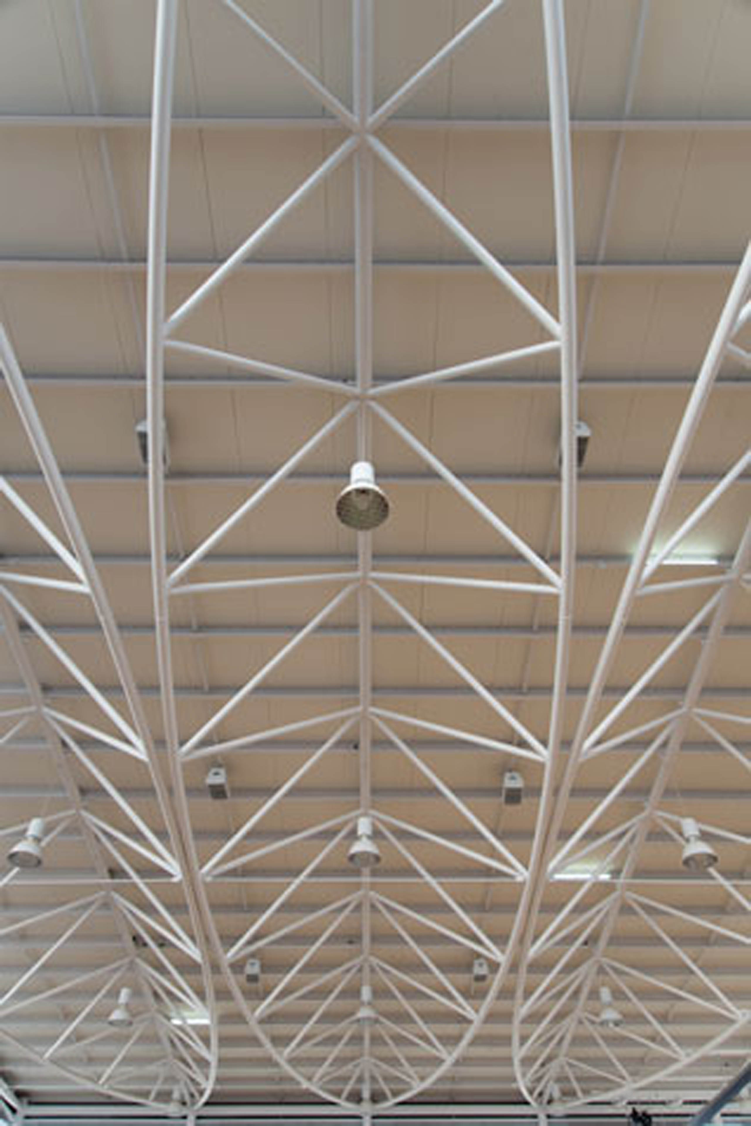 Ceiling of gymnasium with poles arranged in leaf formations with lighting