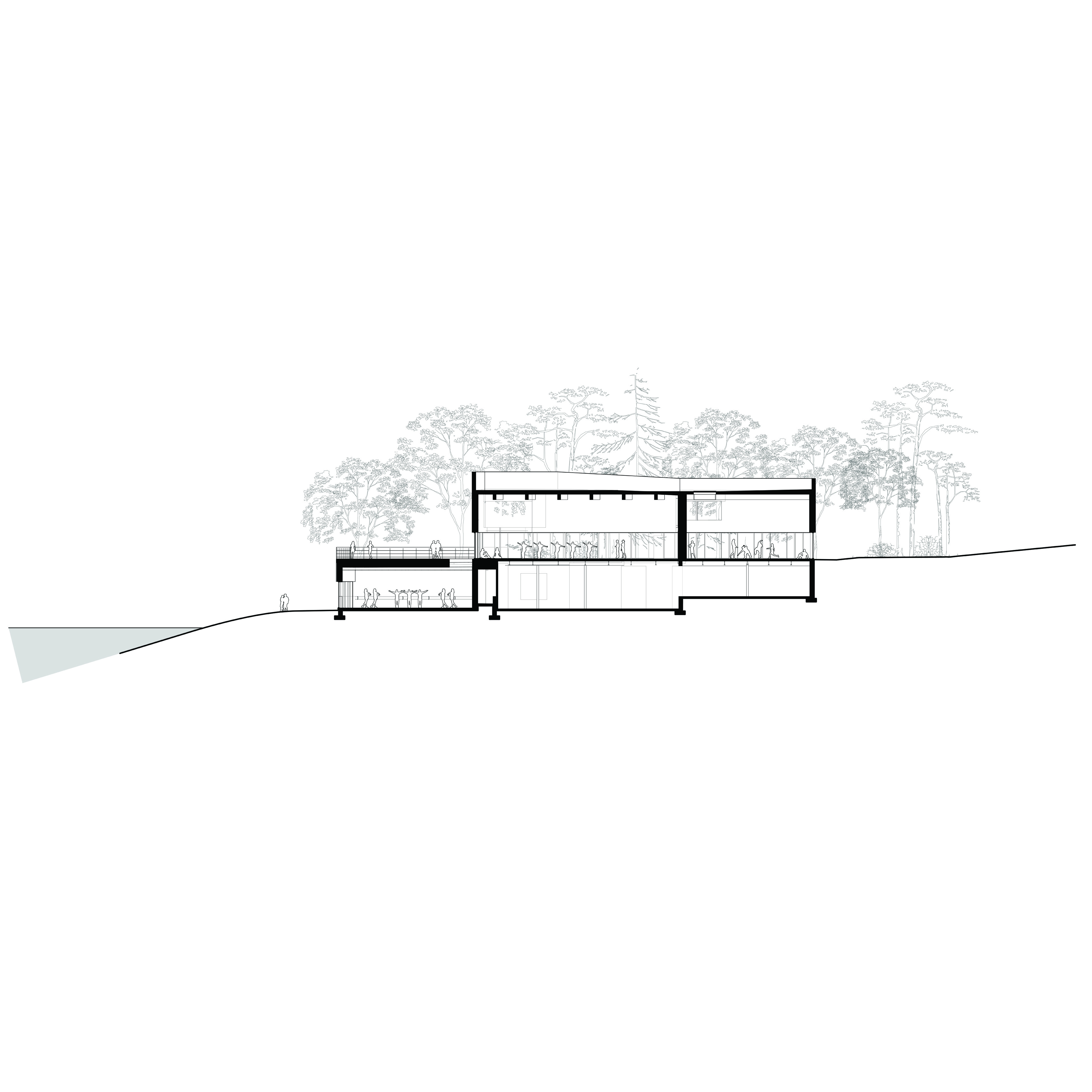 Exterior plan with 2 floors of ballet studios and trees surrounding