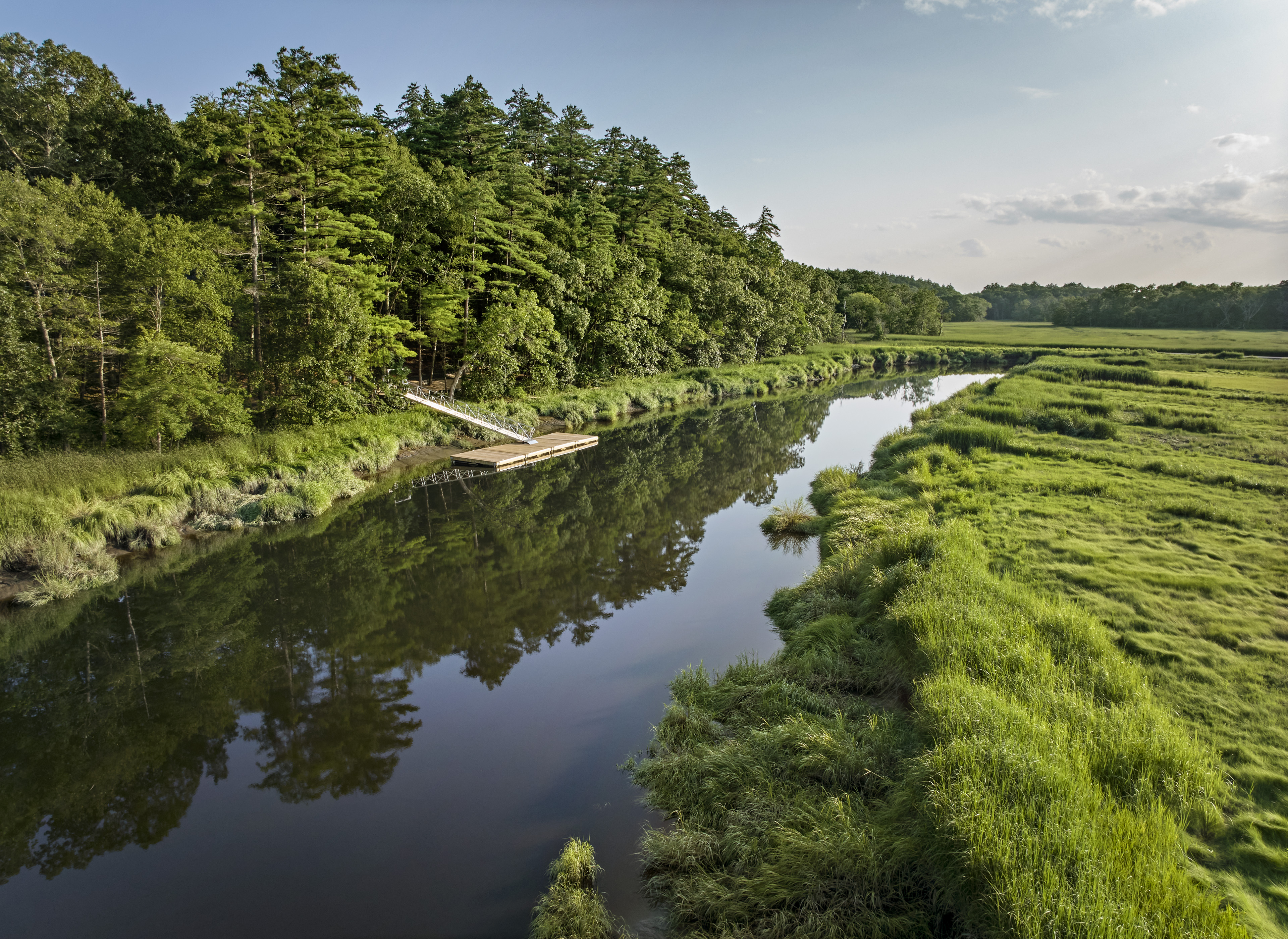 River in-between trees