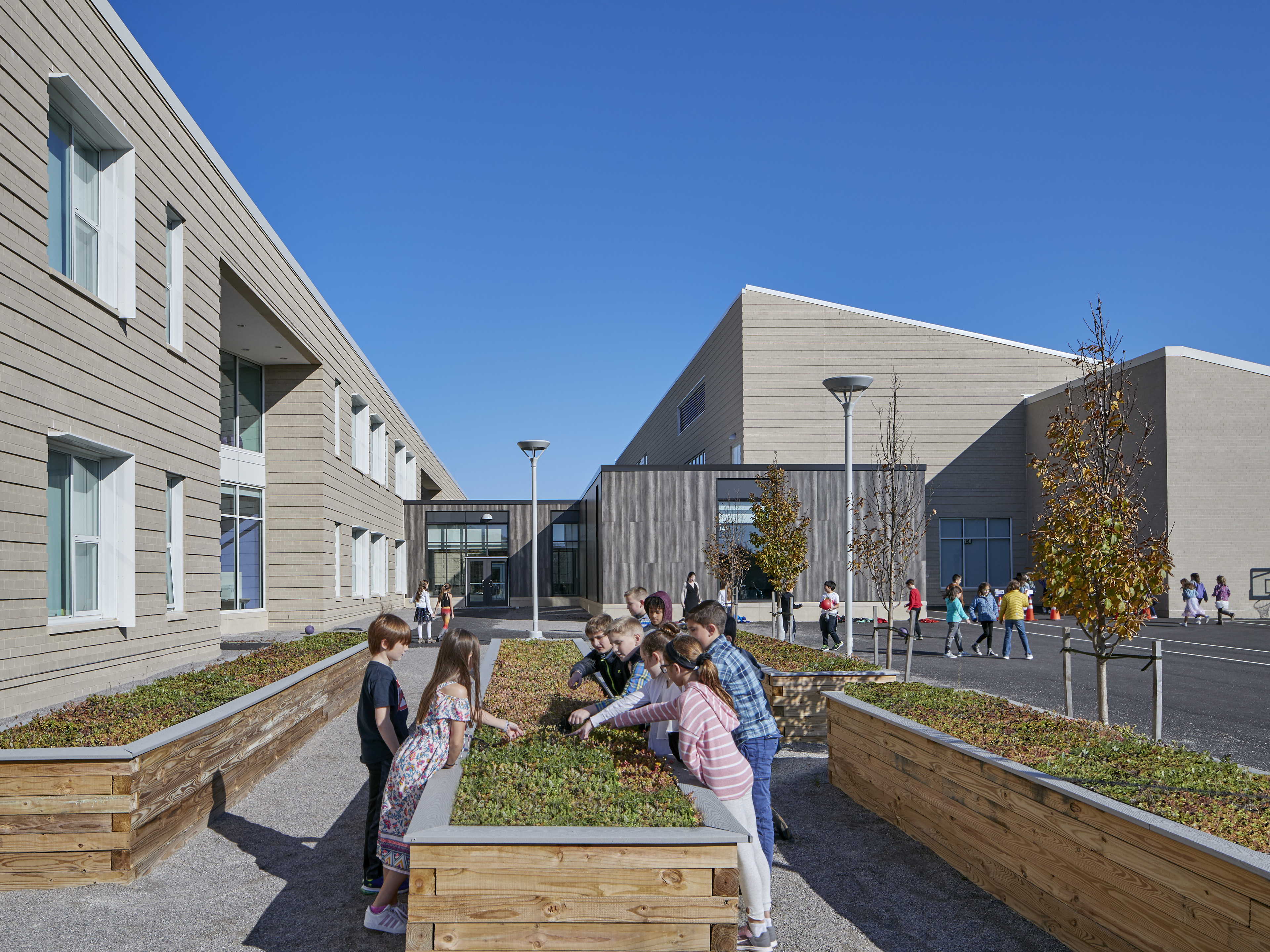 Raised planter with kids playing, grey buildings surrounding and kids playing on black top