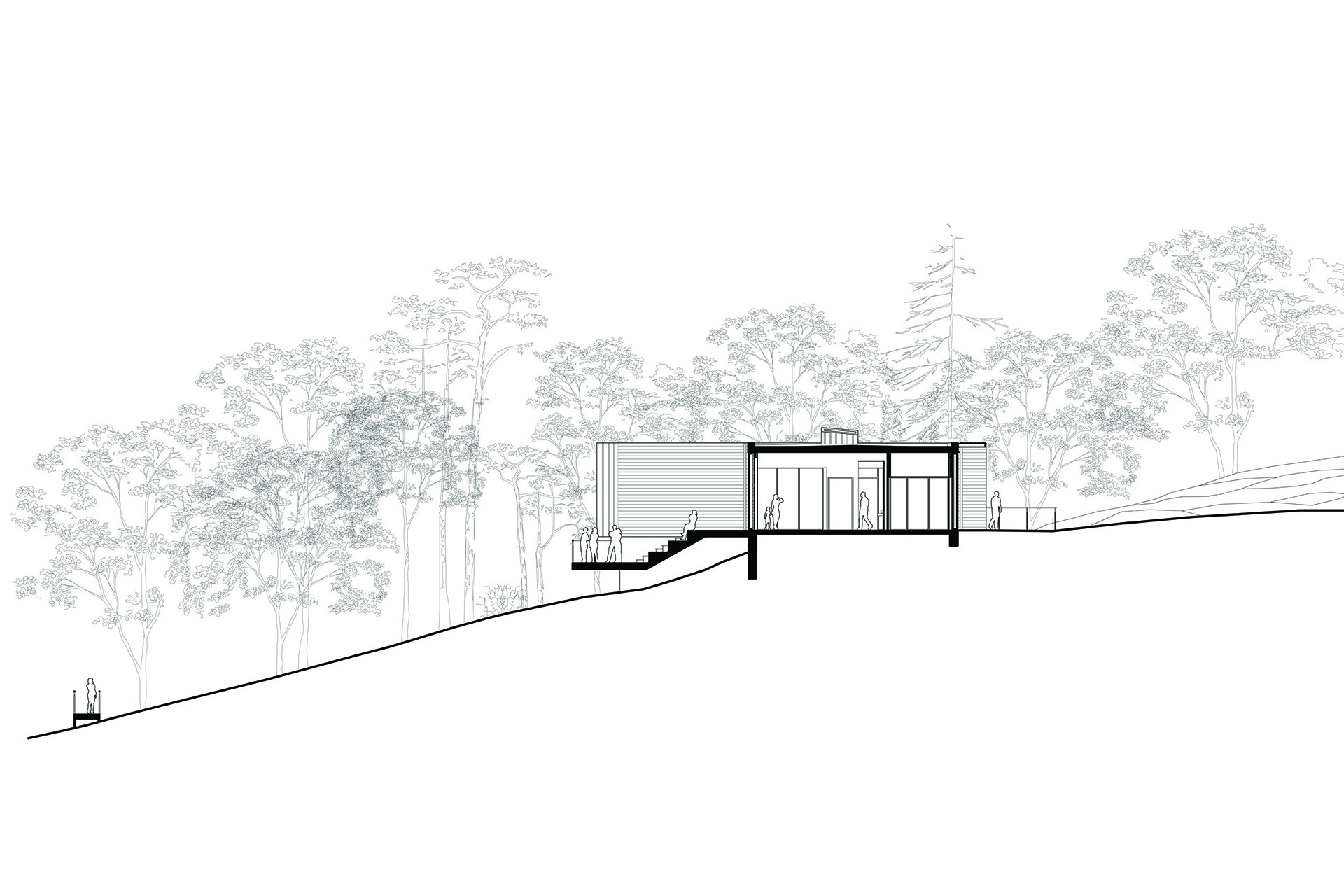 Exterior view of site plans with trees along the back