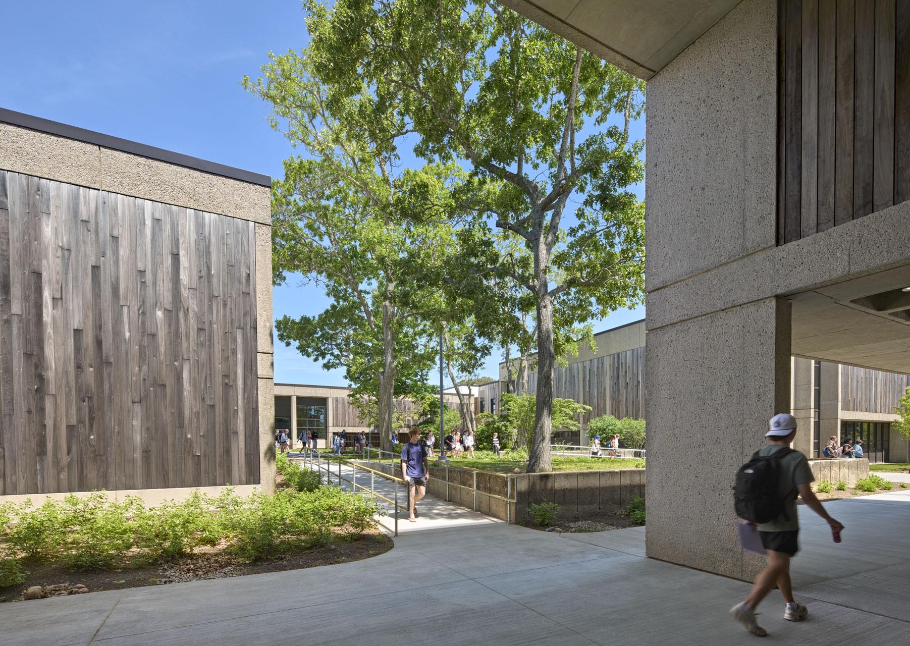 courtyard nestled in the middle of buildings with tall trees, grass, and corridors around with students walking