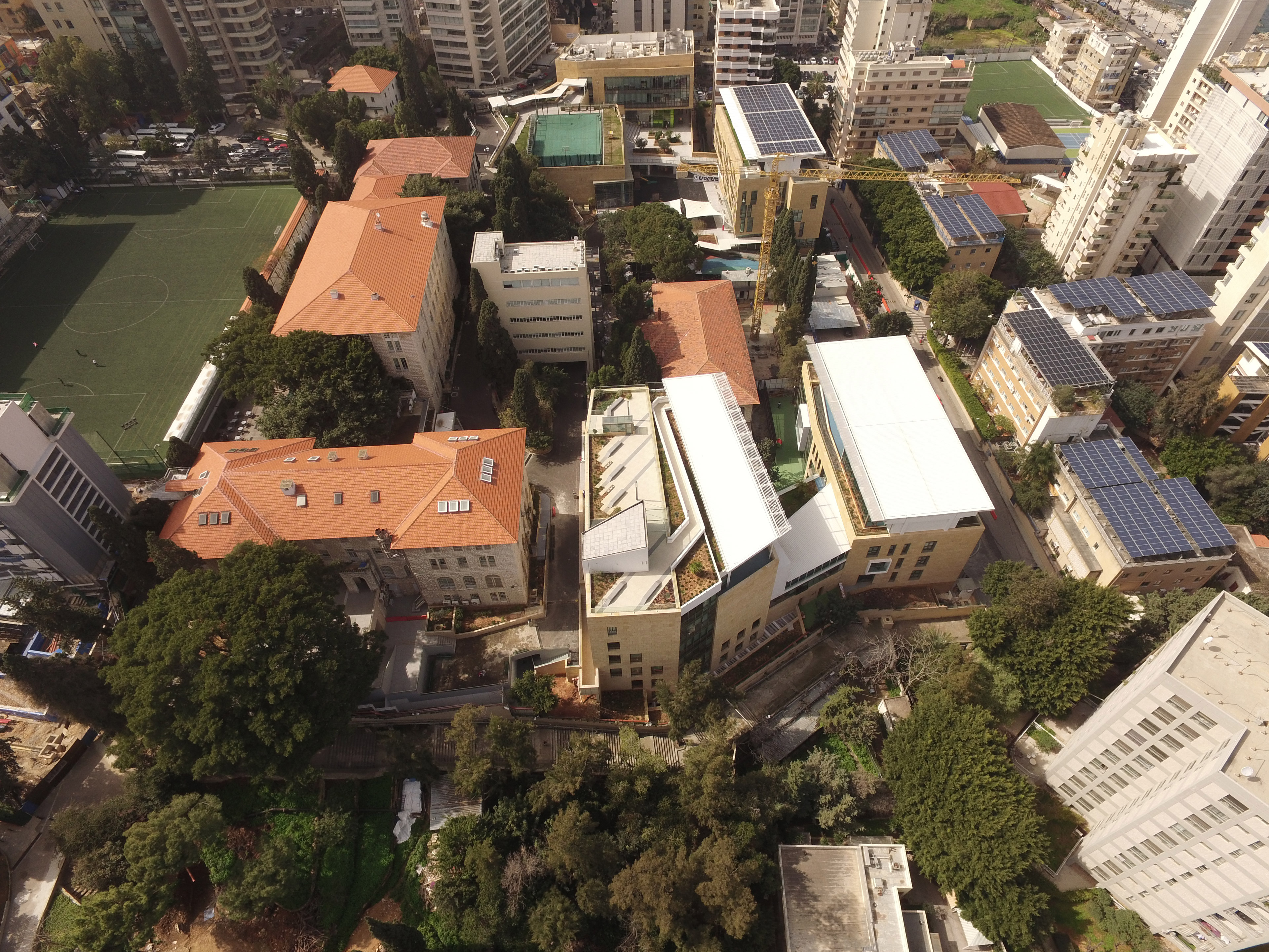 Rendering of building placement in city
